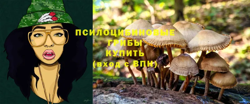 Галлюциногенные грибы Magic Shrooms  блэк спрут tor  Соликамск  купить наркотик 